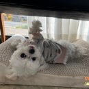 딜리버스튜디오 이미지