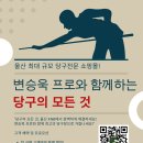 프로당구재료
