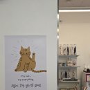 포포픽스 네이버블로그