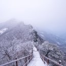 해오름산악회 제 165차 계룡산(시산제) 산행안내 이미지