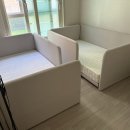 레이디본 이미지