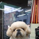 토토페키 이미지