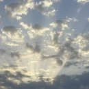 엔마트 보령지점 이미지