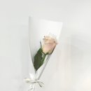 하우어바웃 이미지