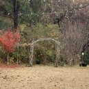 용암초 | 🌿 남산뜰 방문후기, 예식 공간을 직접 보고 온 날