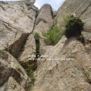 그루터기 이미지