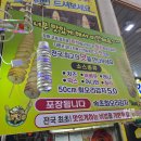 속초회오리감자 이미지