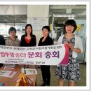 고등분회 이미지