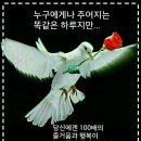 주말 이미지