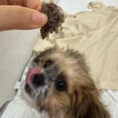바르개 맛있개 네이버블로그