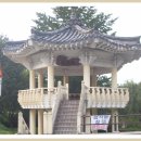 설천시장 이미지