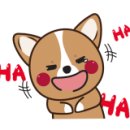 터넌스 이미지