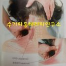 수파동테라피 이미지