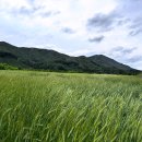 그린팜협동조합 이미지