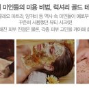 테라피 드 포레