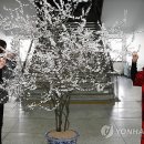 개화영농조합법인 이미지