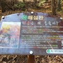 (11월3일)대구둘레길 7코스 서재문양길(서재문화체육센터~이강서원~마천산산림욕장~문양역) 트레킹 2 이미지