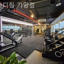 황바디짐 이미지