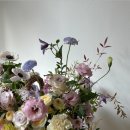발레드무이 이미지