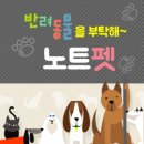 엔스푼즈 | 우리 강아지, 고양이가 좋아할만한 용품을 추천해주는 프로그램 등장!