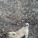 풍산농장 이미지