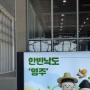 안동무궁화 | 경북 영주여행 가볼만한 곳 1박 2일 여행 코스 추천