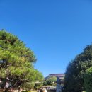 갑을원 한옥카페 이미지