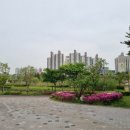 만나요멸치국수