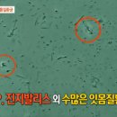 프로젝트K 이미지