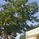 600식당 네이버블로그