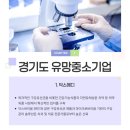 인영약품㈜ | [잡아바크루 4기] 경기도 내 기업의 힘: 지역 경제를 이끄는 유망 기업들