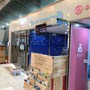휴게소쉼터