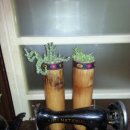 대나무통야식 이미지