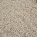 은행정농장 이미지