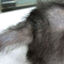 뉴월드 동물병원 이미지