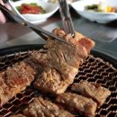 돼지가좋은세상 이미지