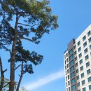 중앙동125 이미지