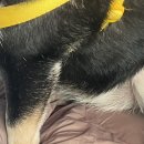 나노카센타 | 27, 2월 첫째주