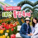 태안현대자동차정비주 | 엄마와 다녀온 태안 튤립축제, 봄꽃 여행 기록