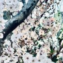 글로벌레인보우유치원 이미지