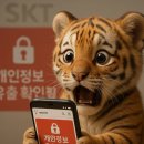 SKT 해킹사고 개인정보 유출 확인 방법-T월드 홈페이지, 보상 총정리