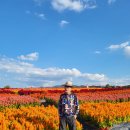 261011(철원)캠퍼 - 철원.고석정꽃밭/노동당사.역사공원 이미지