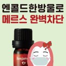 벤자롱스파 이미지