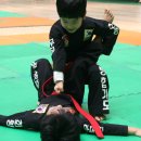 강건 합기도 이미지