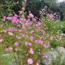 Hardy's B&B 이미지