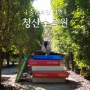 안면도 청산수목원 팜파스 핑크뮬리 명소 10월 11월 가을축제 여행지 태안 가볼만한곳