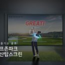 비전탑스크린골프 이미지