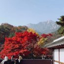 오션마켓스테이(Ocean Market Stay) | 🐶댕스팟🐶 &#34;멈머 오마카세 먹고, 동화 같은 숙소에서 꿀잠!&#34; 전국 반려견 동반 장소 모음.zip