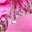 EBS 6월 모평 수학, 작년 수능과 비슷/ 중상위권 학생들 수월했을 것 이미지