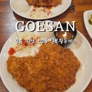 털보왕돈까스 | 충북 괴산 맛집 털보왕돈까스 산막이옛길 가는 길 식당